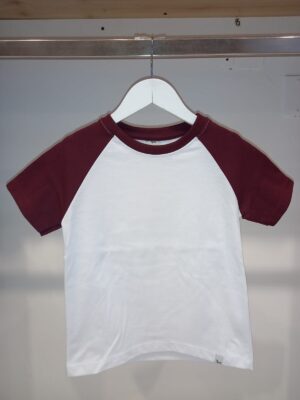 Remera Ranglan Algodon Jersey Varon